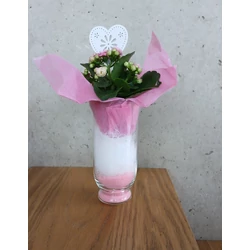 Korallvirág KALANCHOE