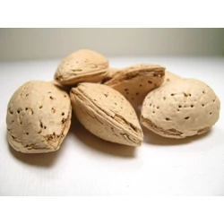 Tétényi bőtermő mandula Prunus amygdalus