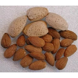 Tétényi rekord mandula Prunus amygdalus