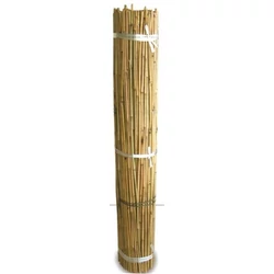 Bambusz karó 210CM 16/18MM      