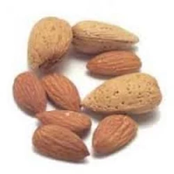 Budatétényi 1 mandula Prunus amygdalus