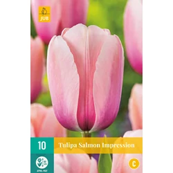 Tulipán VIRÁGHAGYMA TULIPS SALMON IMPRESSION 7DB/CSOMAG JUB 302360