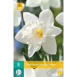 Nárcisz VIRÁGHAGYMA NARCISSUS MOUNT HOOD 5DB/CSOMAG JUB 305560