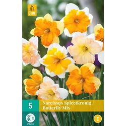 Nárcisz VIRÁGHAGYMA NARCISSUS BUTTERFLY MIX 5DB/CSOMAG JUB 306460