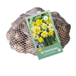 Nárcisz VIRÁGHAGYMA NARCISSUS DOUBLE MIX 30DB/CSOMAG JUB 320560