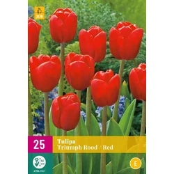 Tulipán VIRÁGHAGYMA TULIPS TRIUMPH RED 15DB/CSOMAG JUB 322720