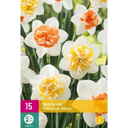 Nárcisz VIRÁGHAGYMA NARCISSUS MACARON BLOSS 10DB/CSOMAG JUB 323040