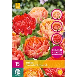 Virághagyma VIRÁGHAGYMA TULIPS GUDOSHNIK DOUBLE 12DB/CSOMAG JUB 324510