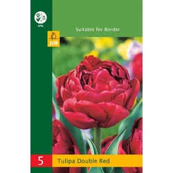 Tulipán VIRÁGHAGYMA TULIPS DOUBLE RED 5DB/CSOMAG JUB 350185