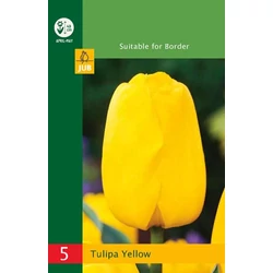 Tulipán VIRÁGHAGYMA TULIPS TRIUMPH YELLOW 5DB/CSOMAG JUB 350200