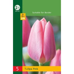Tulipán VIRÁGHAGYMA TULIPS TRIUMPH PINK 5DB/CSOMAG JUB 350250