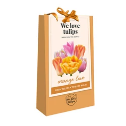 Tulipán VIRÁGHAGYMA TÁSKA TULIPS ORANGE LOVE WE LOVE TULIPS 20DB/TÁSKA JUB 721250