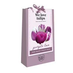 Tulipán VIRÁGHAGYMA TÁSKA TULIPS PURPLE LOVE WE LOVE TULIPS 20DB/TÁSKA JUB 721260