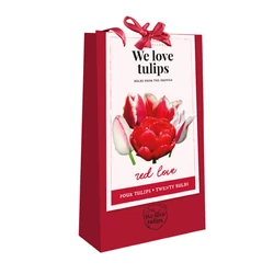 Tulipán VIRÁGHAGYMA TÁSKA TULIPS RED LOVE WE LOVE TULIPS 20DB/TÁSKA JUB 721280