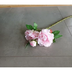 Művirág SELYEMVIRÁG PAEONIA