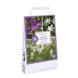 Virághagyma árnyékos kert VIRÁGHAGYMA TÁSKA FOR EVERY GARDEN-SHADE GARDEN 50DB/TÁSKA JUB 721555