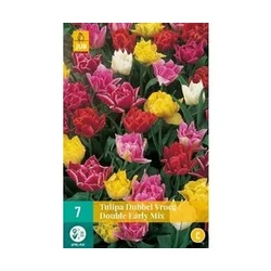 Tulipán VIRÁGHAGYMA TULIPS DOUBLE EARLY MIX 7DB/CSOMAG JUB 301580