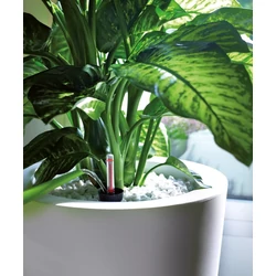 Öntözőrendszer MITU KASPÓHOZ 32CM ACID GREEN