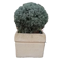 Kő kocka URBANO KOCKA 65×65×59 BARNA  