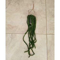 Műnövény ZÖLD CSÜNGŐ MŰNÖVÉNY RHIPSALIS 62×12CM