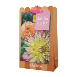 Virághagyma dália VIRÁGHAGYMA TÁSKA DAHLIA ABRICOT 4DB/CSOMAG JUB 701175