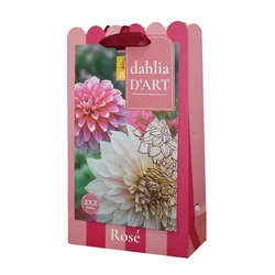 Virághagyma dália VIRÁGHAGYMA TÁSKA DAHLIA ROSÉ 4DB/CSOMAG JUB 701190