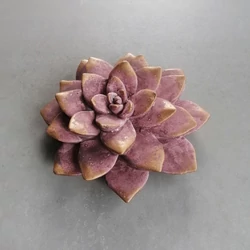 Dekoráció PTMD DEVERLY PINK CEMENT VIRÁG 732265