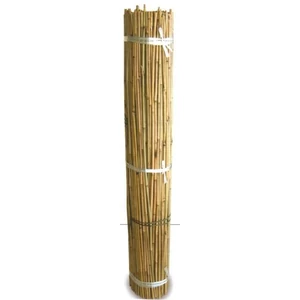 Bambusz karó 240CM 16/18MM      