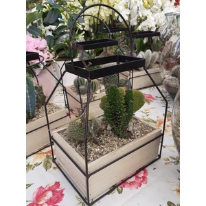 Kaktusz mix CACTUS MIX MINI FÉM HÁZBAN 21×25CM