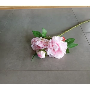 Művirág SELYEMVIRÁG PAEONIA