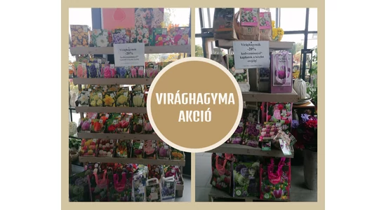 Virágba borul a kedve is!