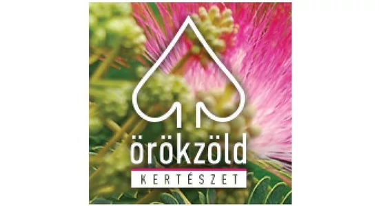 Iratkozz fel hírlevelünkre!