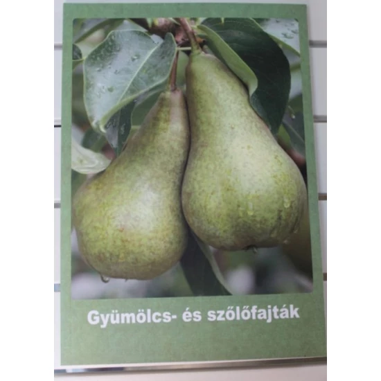 Könyv-gyümölcs és szőlőfajták