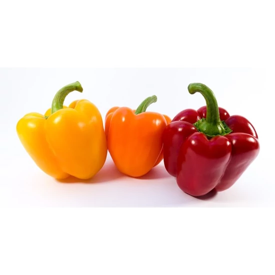 Paprika palánta