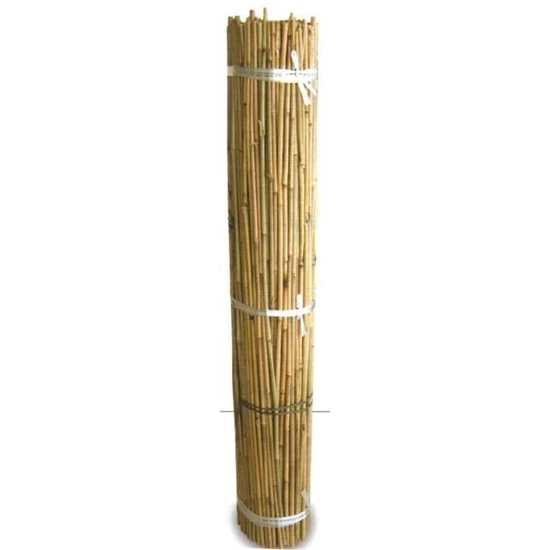 Bambusz karó 240CM 16/18MM      