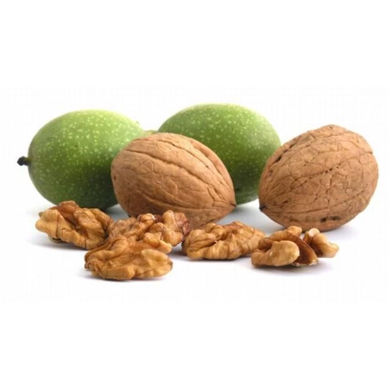 Alsószentiváni dió Juglans regia  