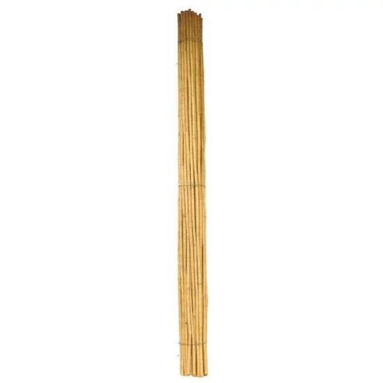 Bambusz karó 150CM 26/28 MM     