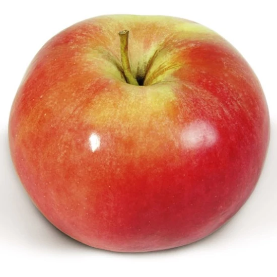 Idared alma Malus domestica