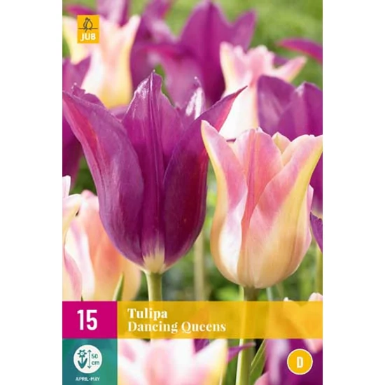 Virághagyma Tulipán