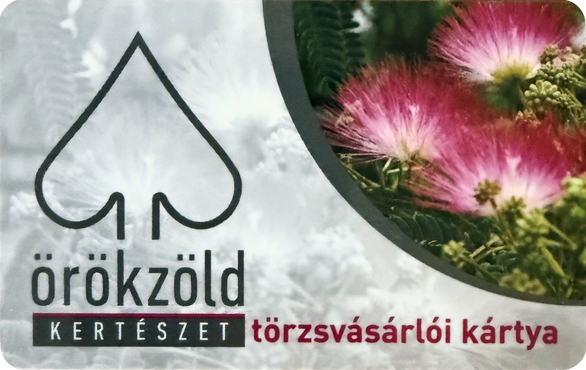 Törzsvásárló