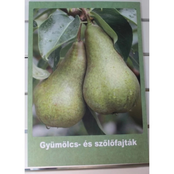Könyv-gyümölcs és szőlőfajták