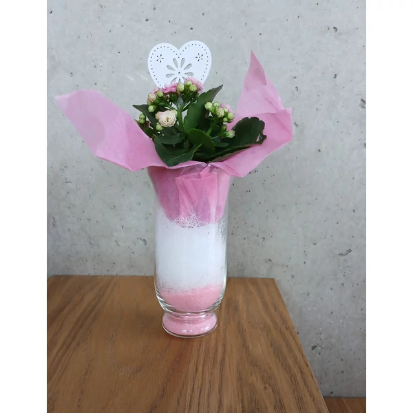 Korallvirág KALANCHOE