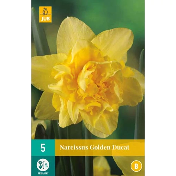 Nárcisz VIRÁGHAGYMA NARCISSUS GOLDEN DUCAT 5DB/CSOMAG JUB 306060
