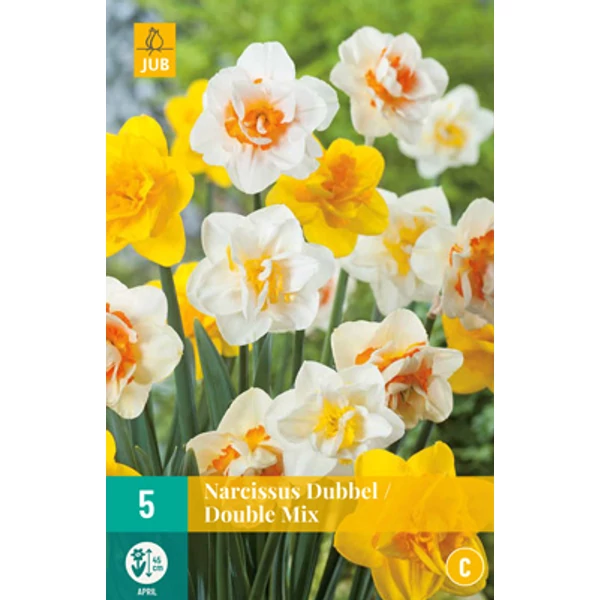 Nárcisz VIRÁGHAGYMA NARCISSUS DOUBLE MIX 5DB/CSOMAG JUB 306220