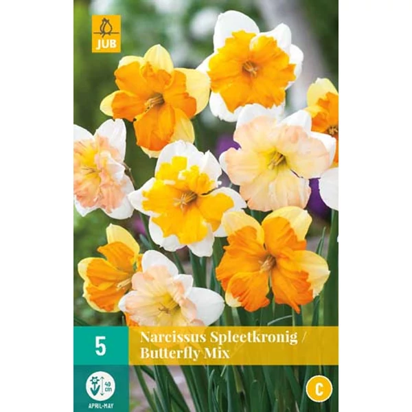Nárcisz VIRÁGHAGYMA NARCISSUS BUTTERFLY MIX 5DB/CSOMAG JUB 306460