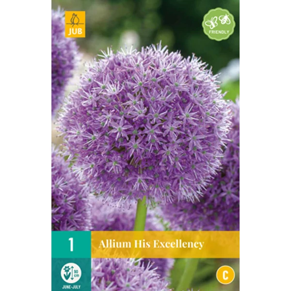 Díszhagyma VIRÁGHAGYMA ALLIUM HIS EXCELLENCY 1DB/CSOMAG JUB 308149