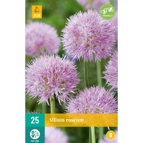 Díszhagyma VIRÁGHAGYMA ALLIUM ROSEUM 25DB/CSOMAG JUB 308295