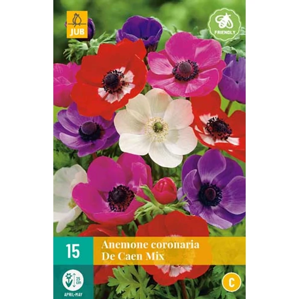 Koronás szellőrózsa VIRÁGHAGYMA ANEMONE CORONARIA DE CAEN MIX 15DB/CSOMAG JUB 111189