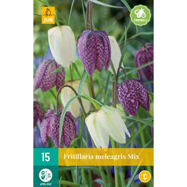 Kockásliliom VIRÁGHAGYMA FRITILLARIA MELEAGRIS MIX 15DB/CSOMAG JUB 309820