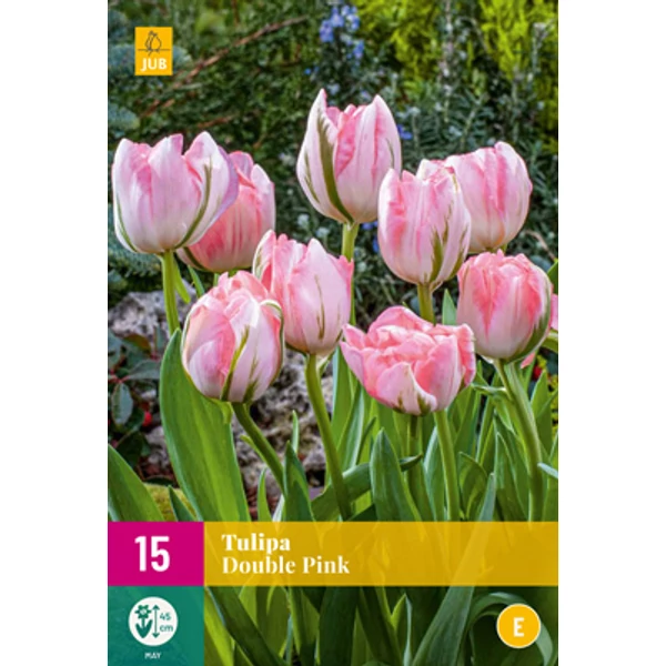 Tulipán VIRÁGHAGYMA TULIPS DOUBLE PINK 12DB/CSOMAG JUB 322397